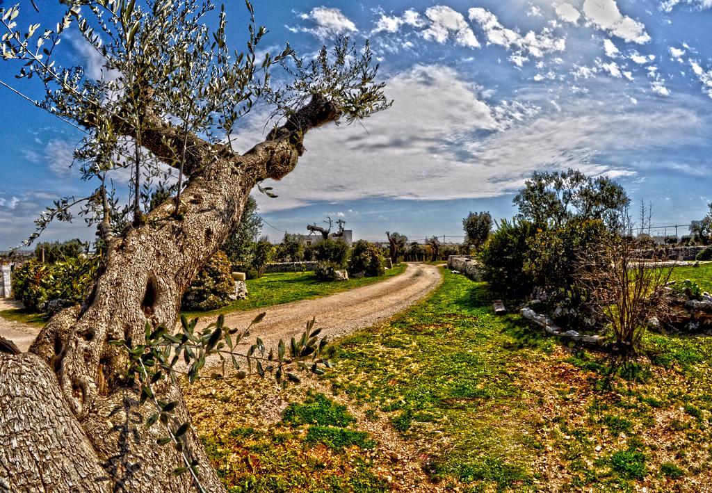 Masseria Rosa Trulli Relais Alberobello Bagian luar foto